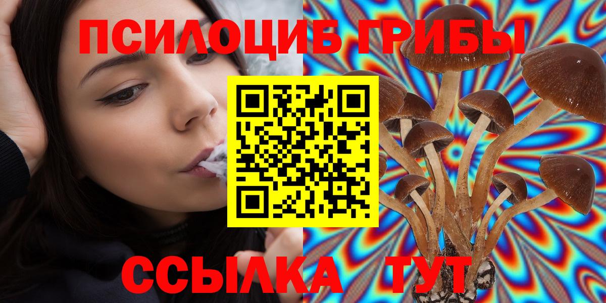Галлюциногенные грибы Cubensis  Вход с VPN  Аргун  Галлюциногенные грибы ЛСД 