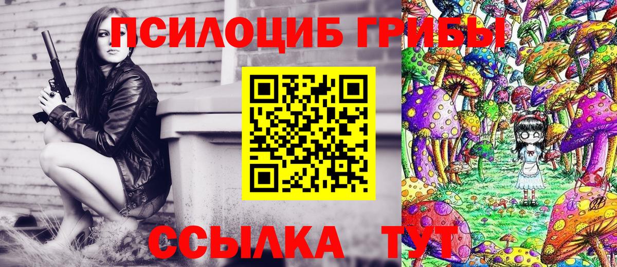 Псилоцибиновые грибы Psilocybe Аргун